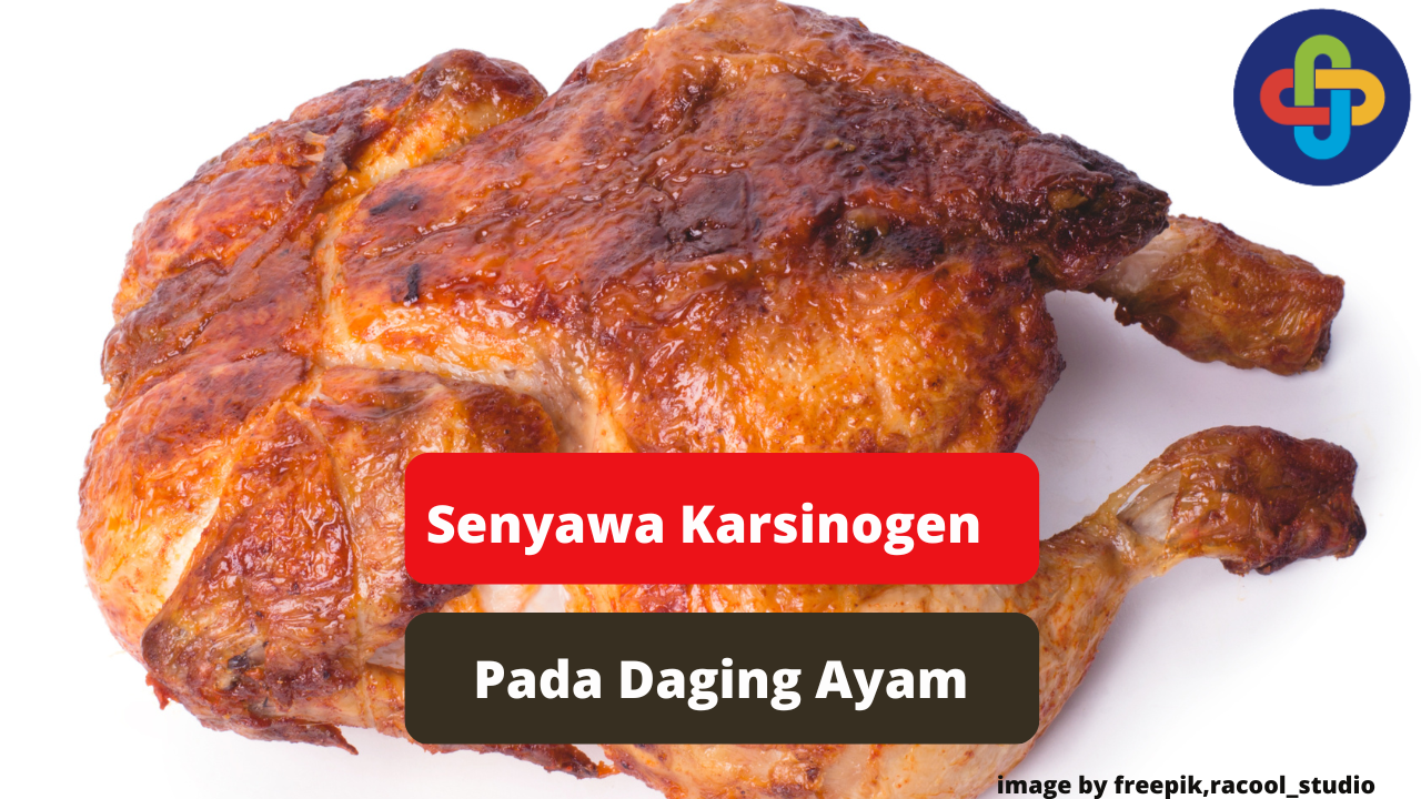 Ketahui Zat Karsinogen Pada Daging Ayam Agar Sehat